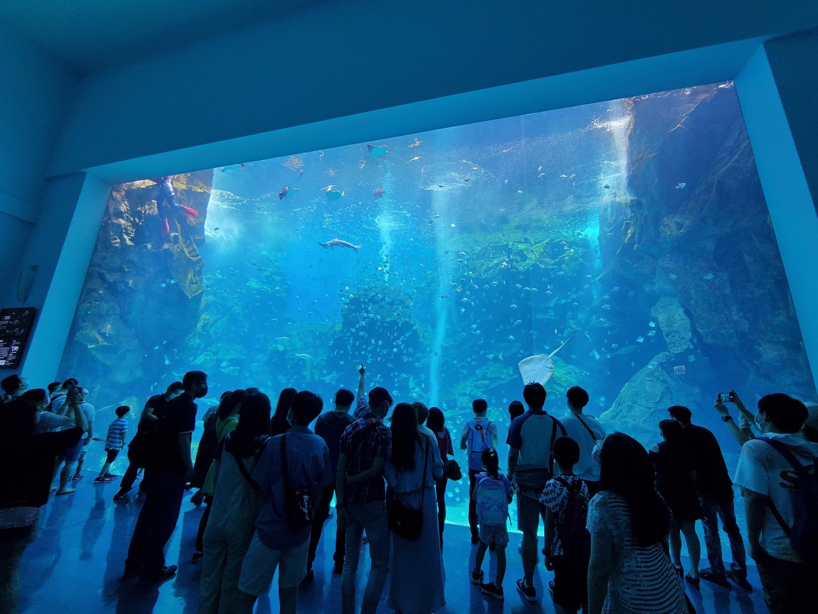 20210814_111627.jpg