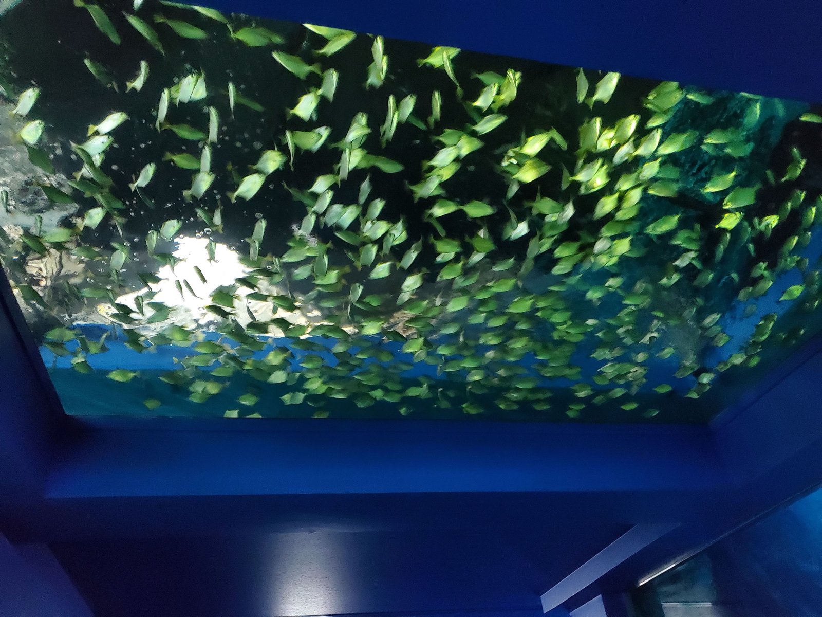 20210814_111519.jpg