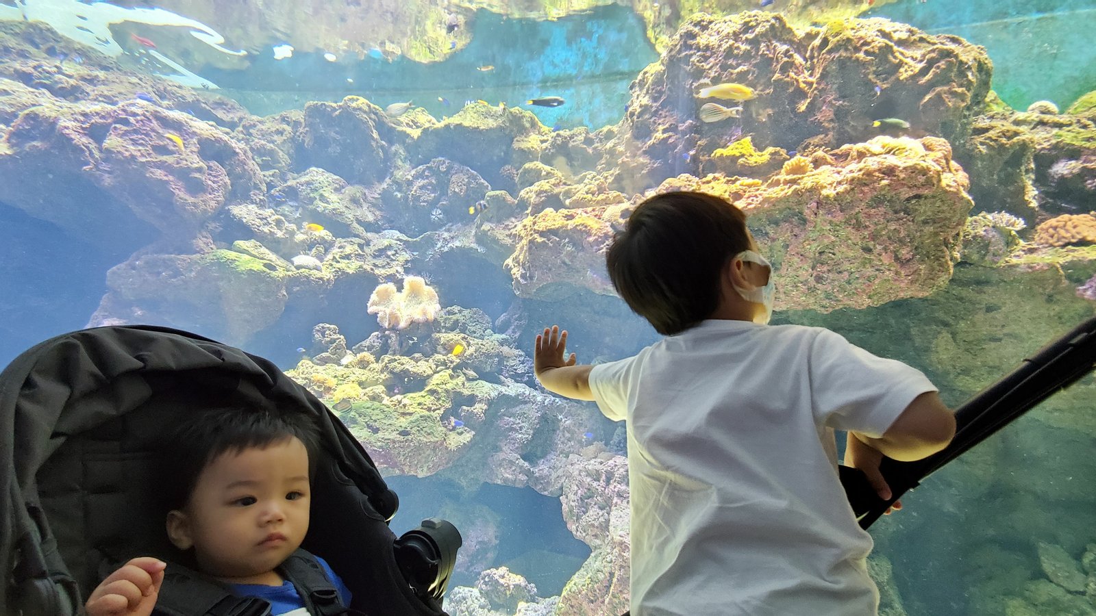20210814_113335.jpg