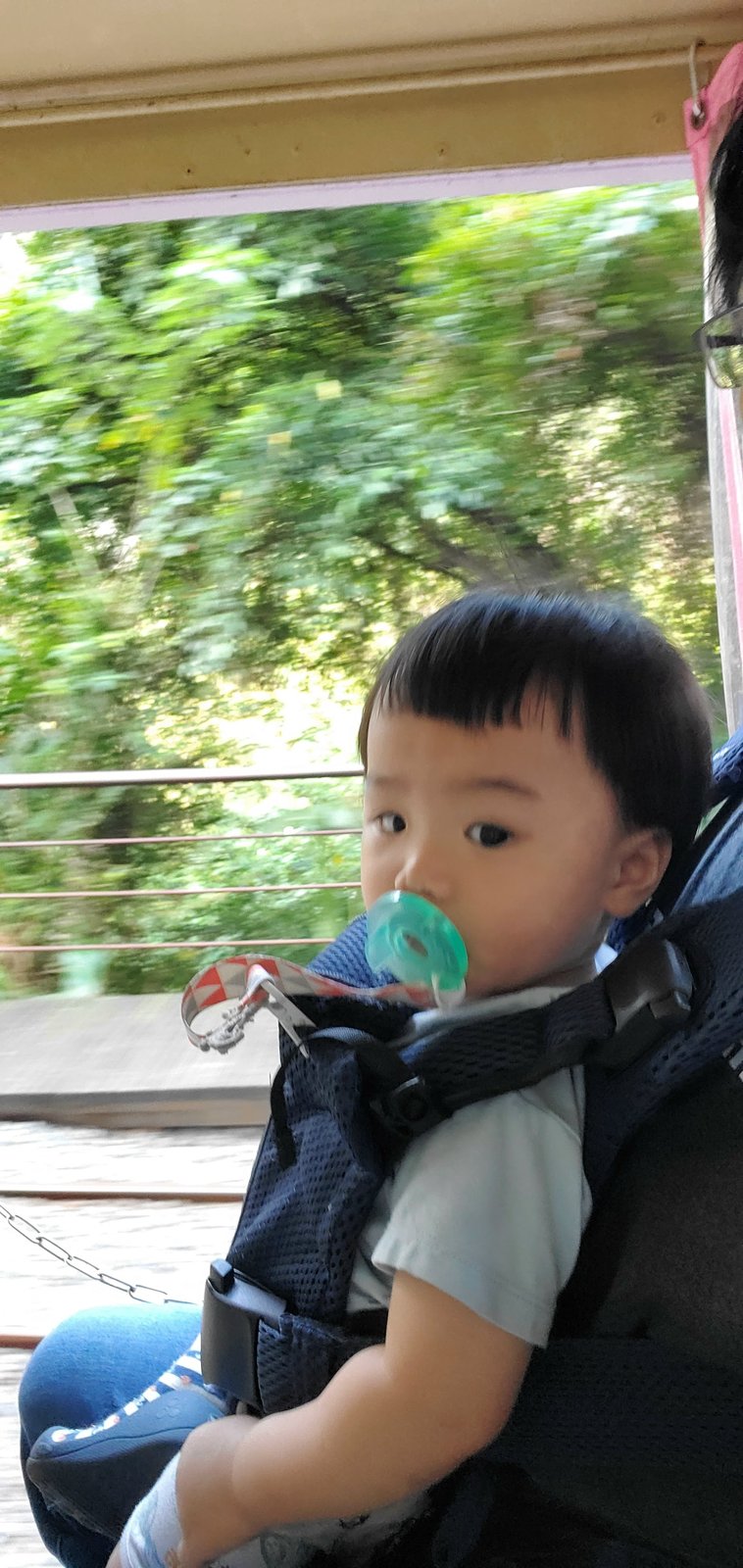 烏來 台車：小火車體驗/ 逛老街 / 雙寶一起去旅行