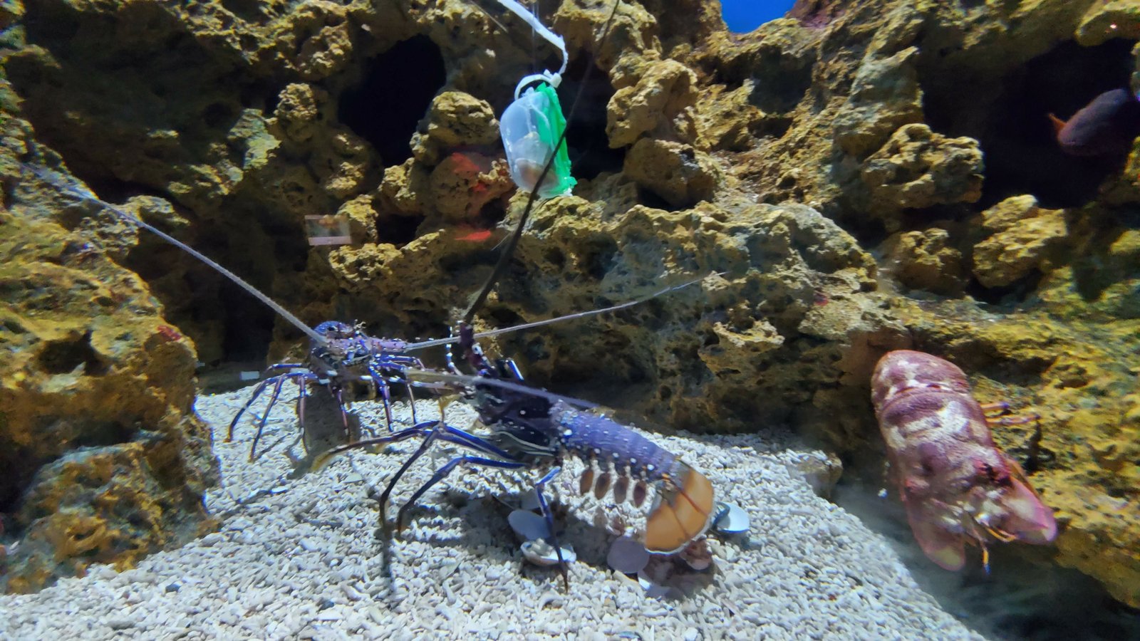 20220129_113012.jpg