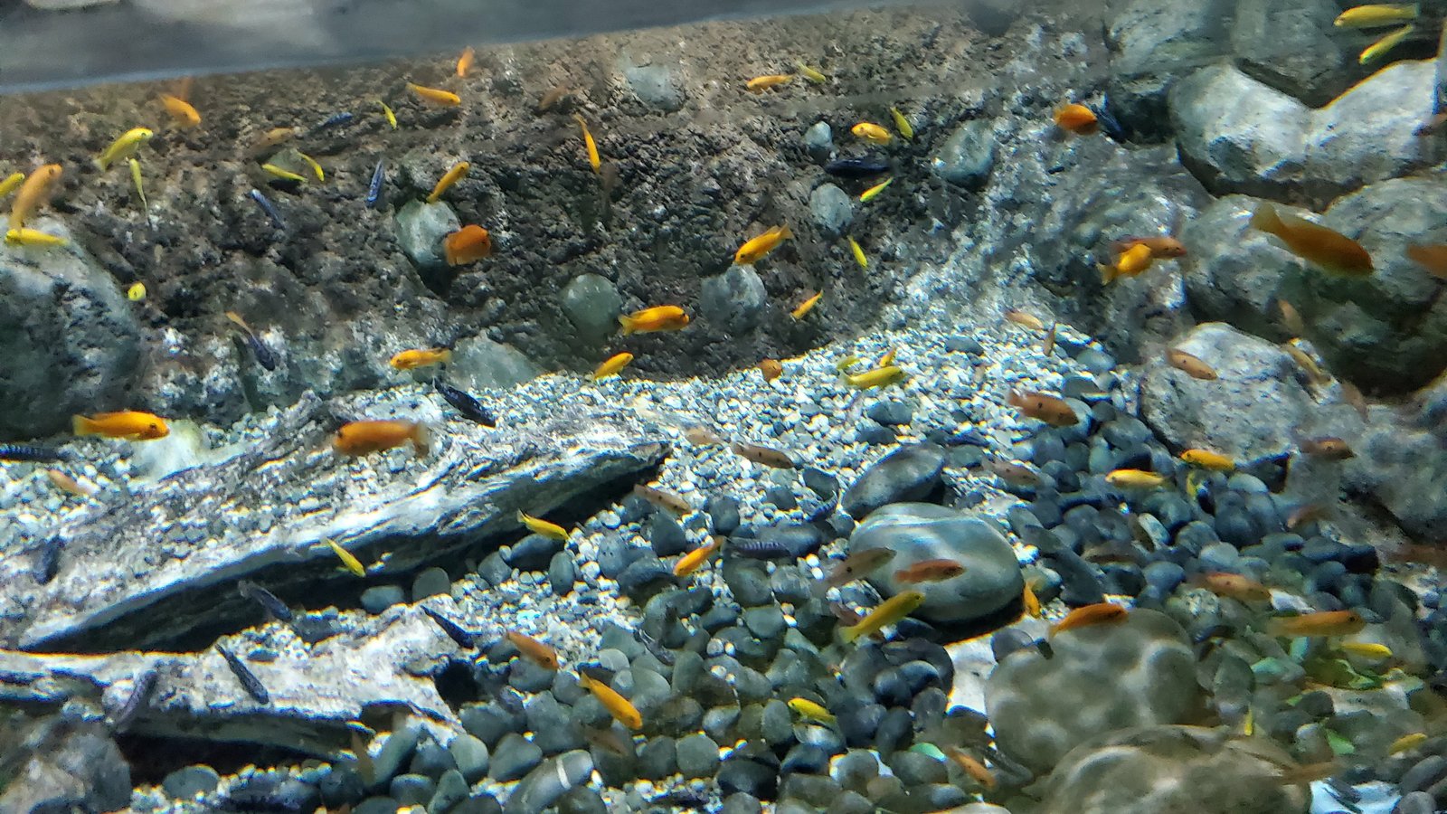 20220129_112519.jpg