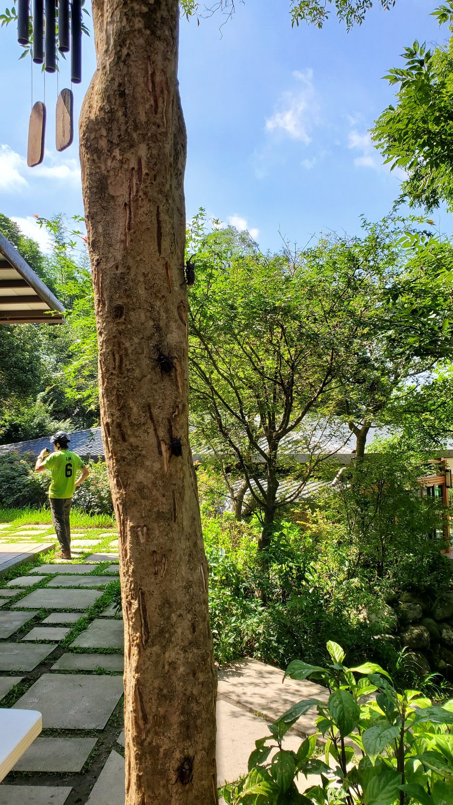 陽明山 福田園休閒農場：小溪玩水安全清涼/玻璃屋喝咖啡/ 芬