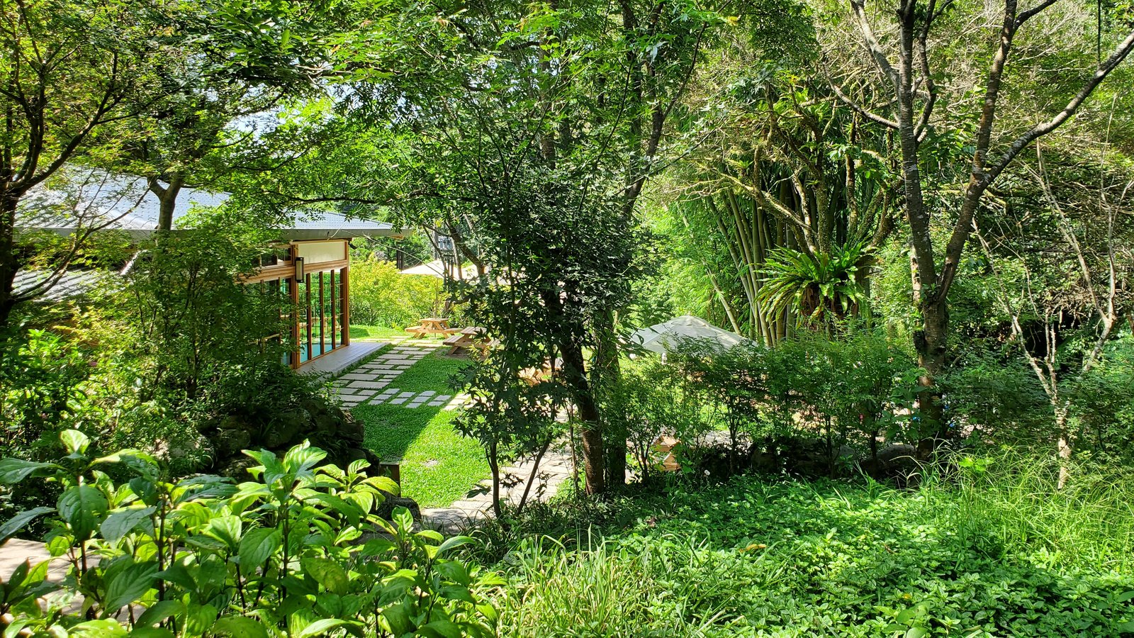 陽明山 福田園休閒農場：小溪玩水安全清涼/玻璃屋喝咖啡/ 芬
