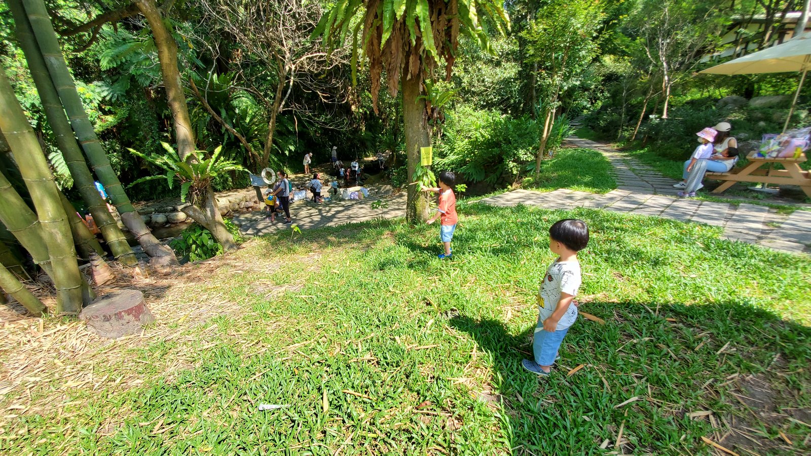 陽明山 福田園休閒農場：小溪玩水安全清涼/玻璃屋喝咖啡/ 芬