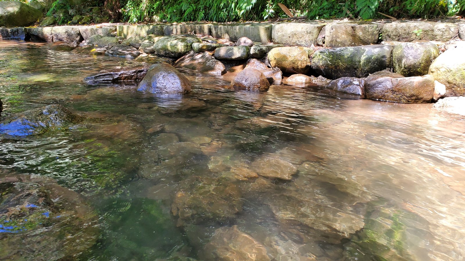 陽明山 福田園休閒農場：小溪玩水安全清涼/玻璃屋喝咖啡/ 芬