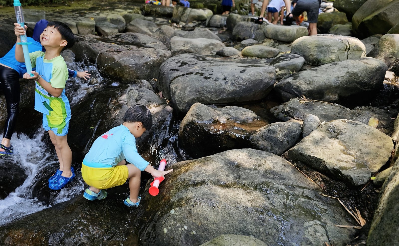 陽明山 福田園休閒農場：小溪玩水安全清涼/玻璃屋喝咖啡/ 芬