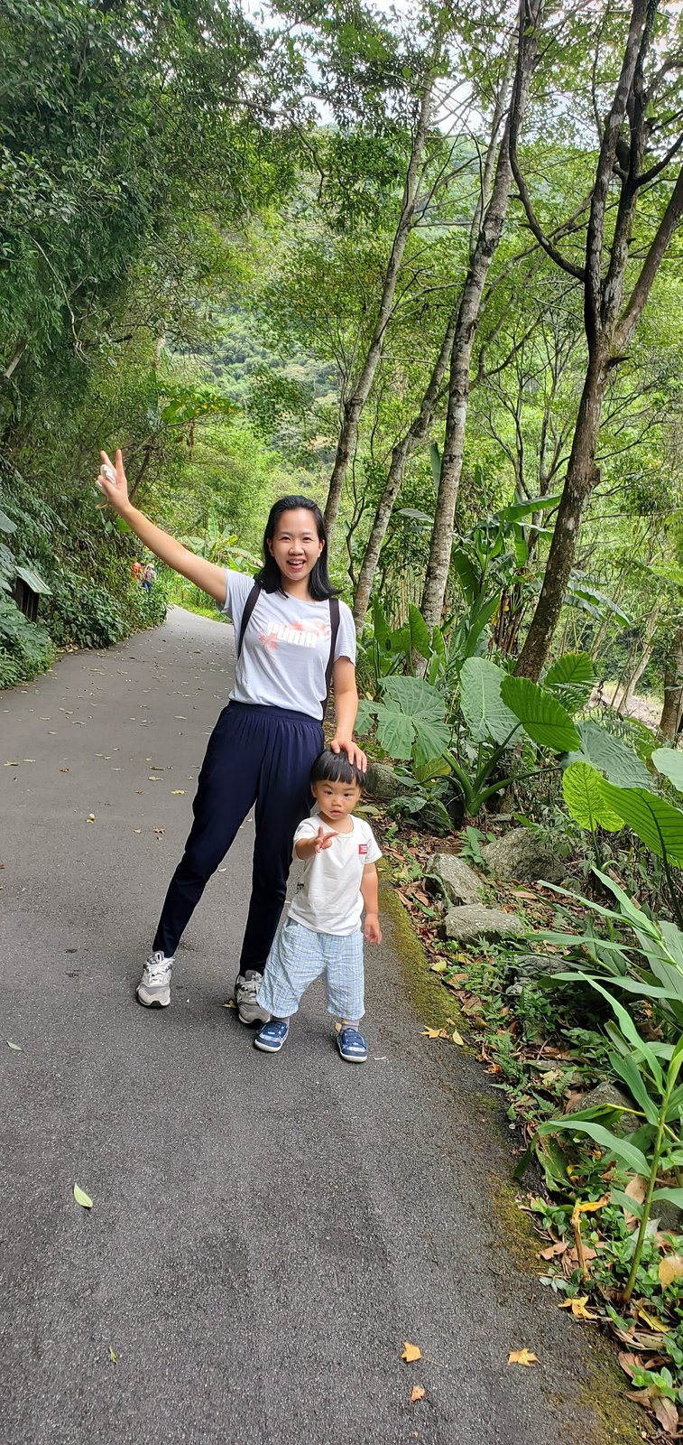 新北 內洞國家森林遊樂區：滿滿芬多精/ 2歲幼童自己走完全程