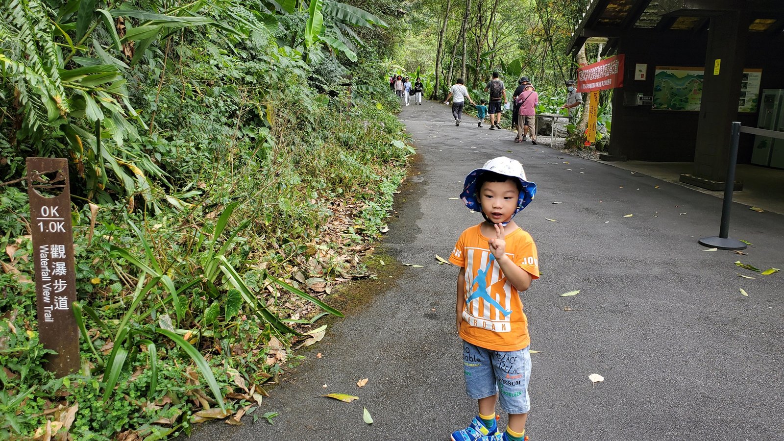 新北 內洞國家森林遊樂區：滿滿芬多精/ 2歲幼童自己走完全程