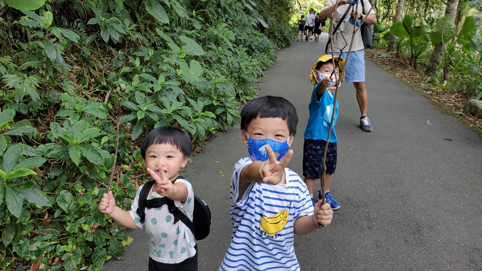 新北 內洞國家森林遊樂區：滿滿芬多精/ 2歲幼童自己走完全程