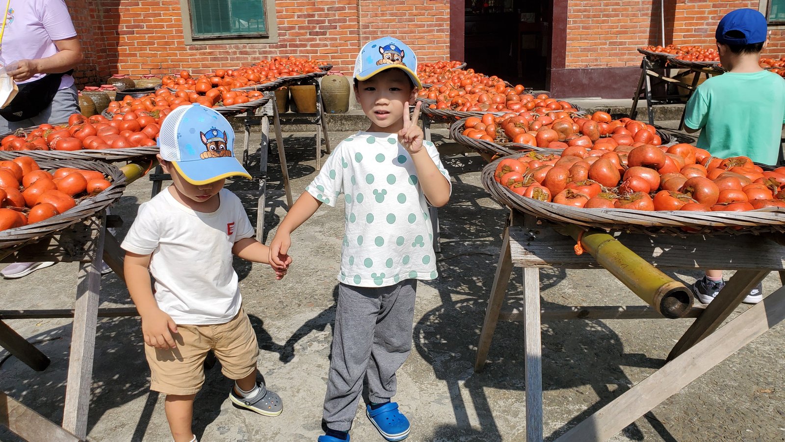 新竹 味衛佳柿餅教育農園：柿子紅了/ 新埔柿餅/ 特色農場親