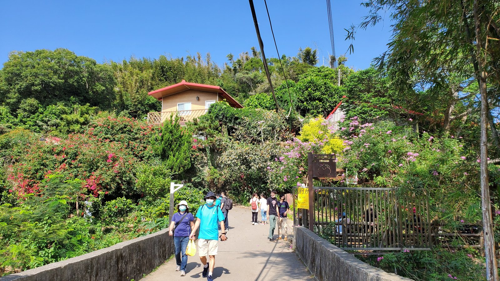新竹 味衛佳柿餅教育農園：柿子紅了/ 新埔柿餅/ 特色農場親