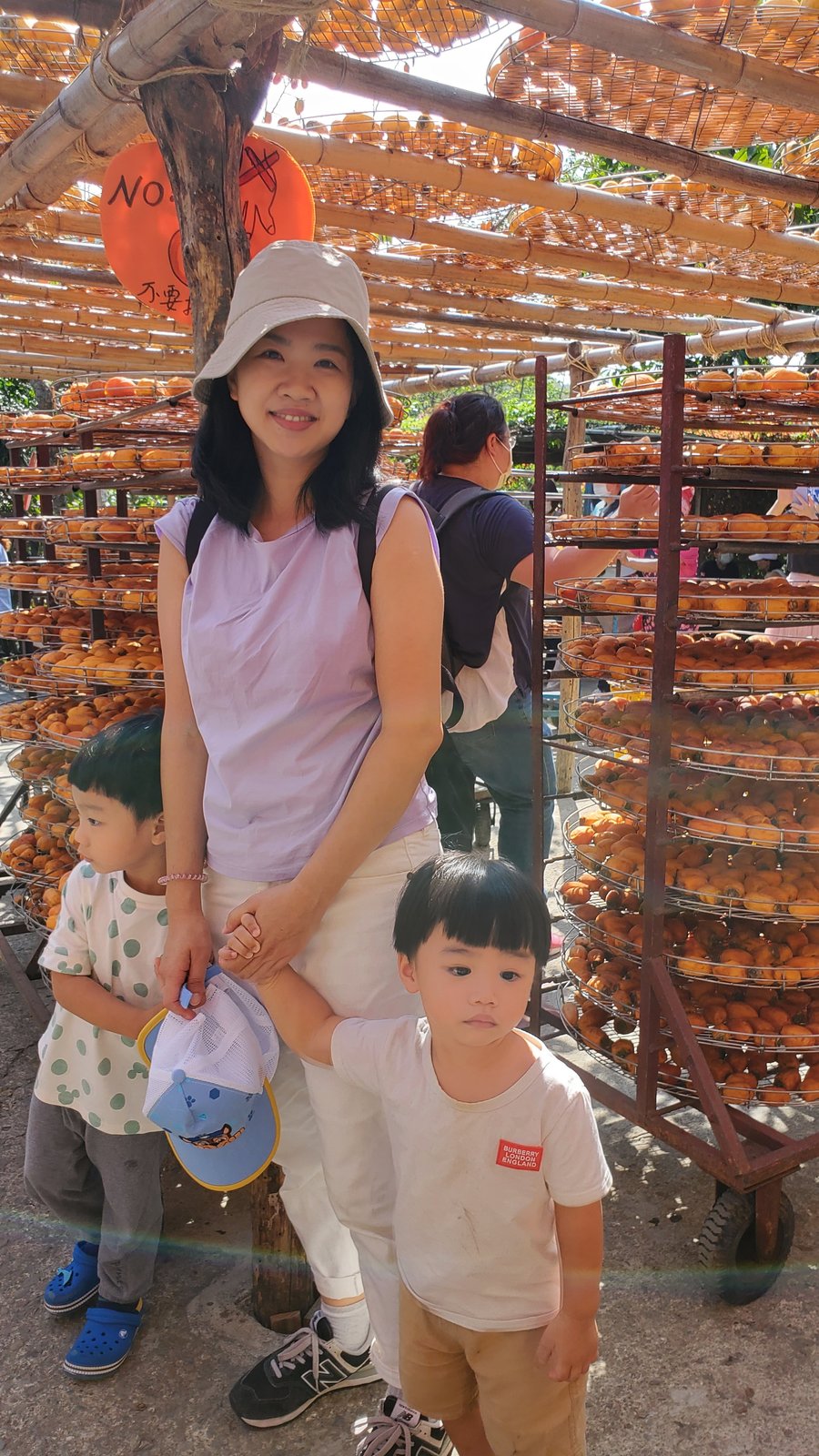 新竹 味衛佳柿餅教育農園：柿子紅了/ 新埔柿餅/ 特色農場親
