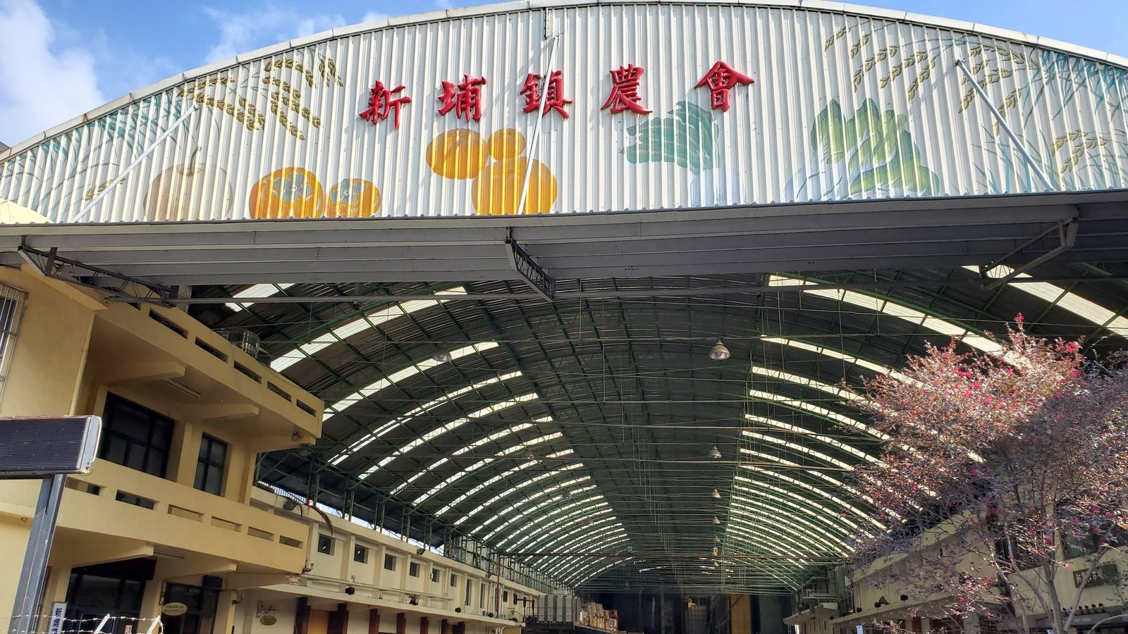 新竹 味衛佳柿餅教育農園：柿子紅了/ 新埔柿餅/ 特色農場親