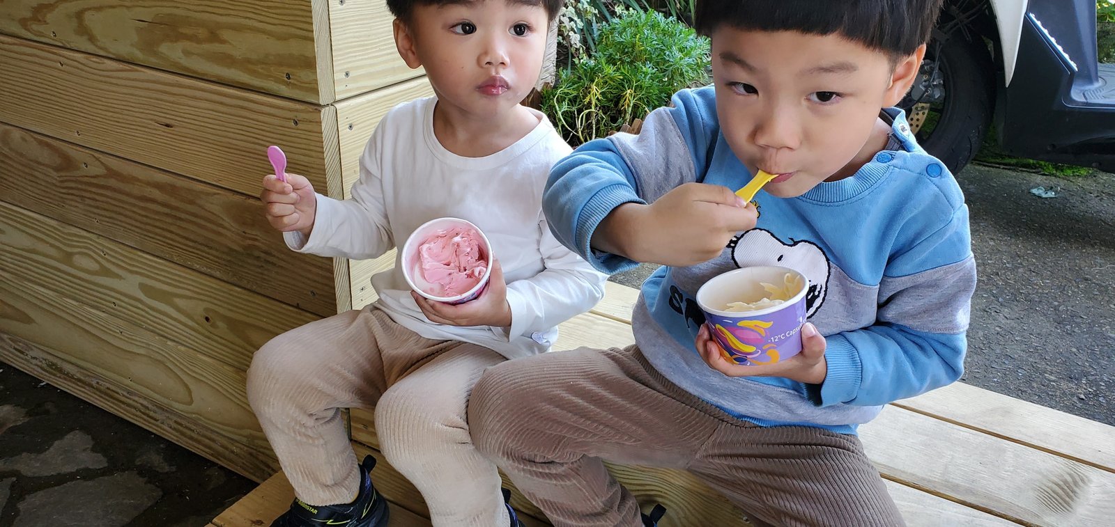 台北 莓圃休閒農園：採草莓初體驗／莓果pizza好吃