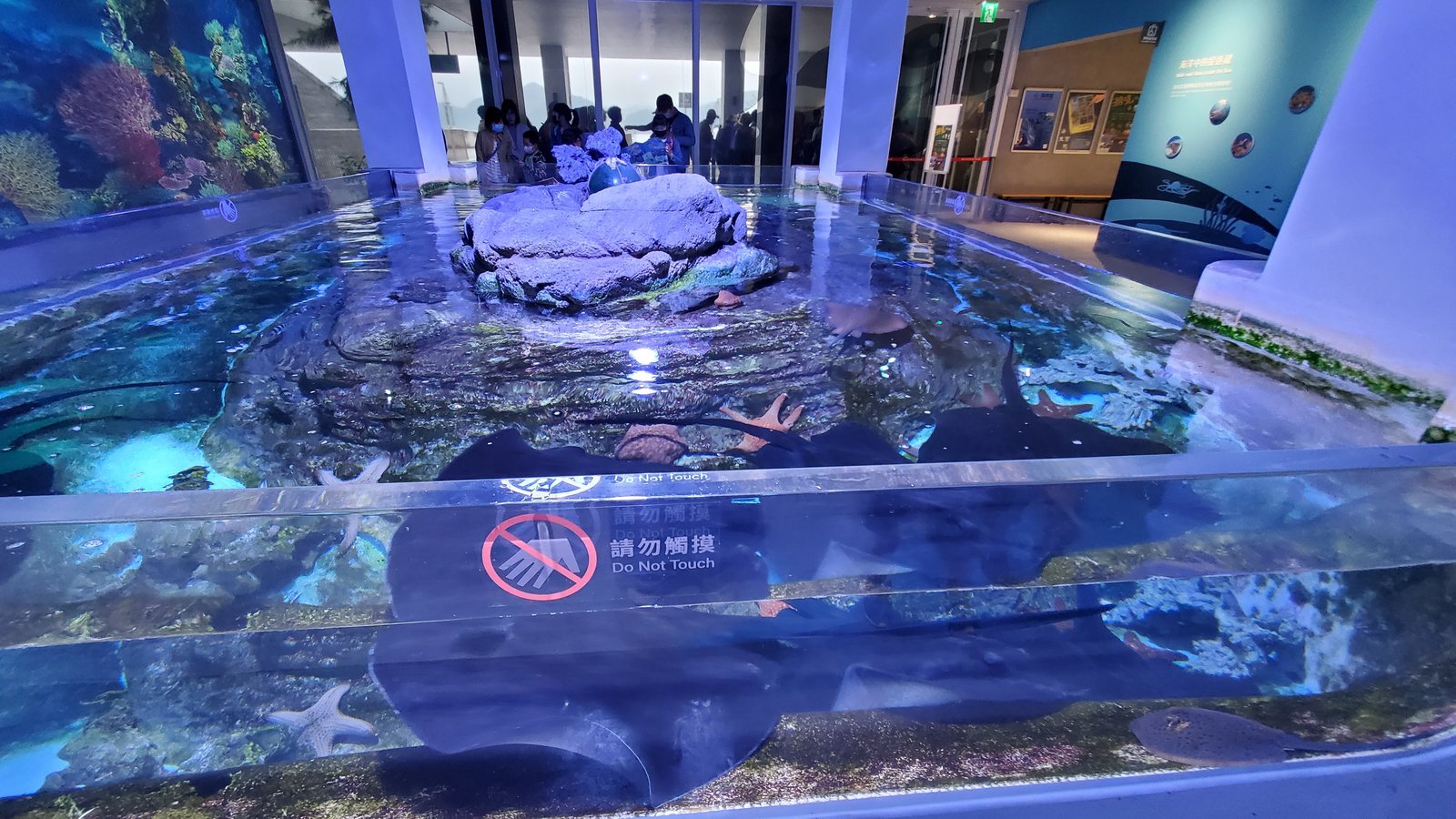基隆 潮境智能海洋館：遊玩用餐一條龍/ 無敵海景/ 互動遊戲