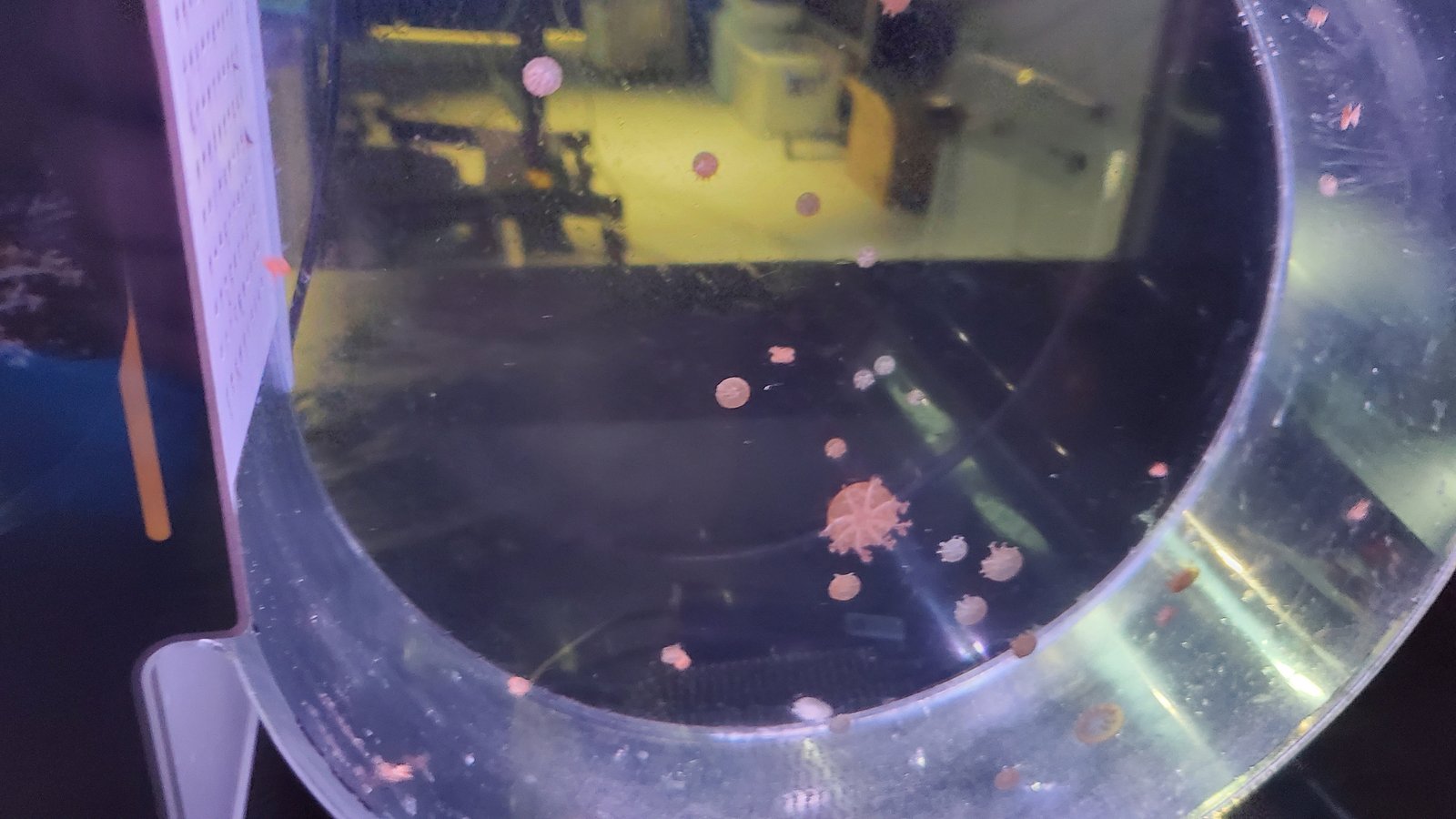 基隆 潮境智能海洋館：遊玩用餐一條龍/ 無敵海景/ 互動遊戲