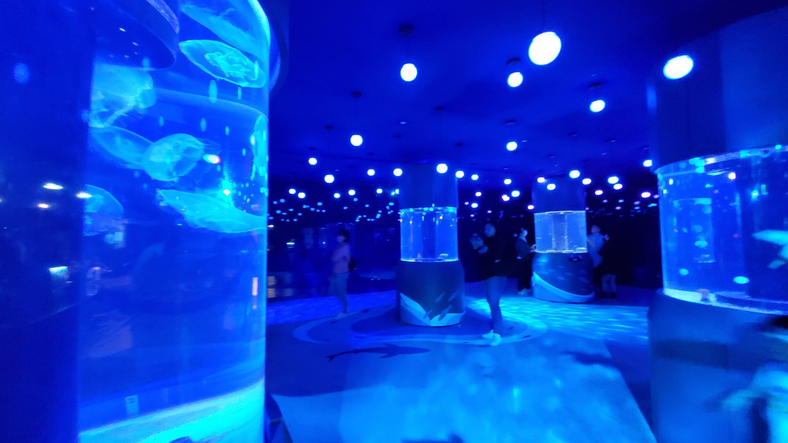 基隆 潮境智能海洋館：遊玩用餐一條龍/ 無敵海景/ 互動遊戲