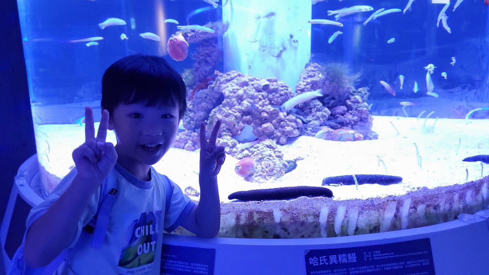 基隆 潮境智能海洋館：遊玩用餐一條龍/ 無敵海景/ 互動遊戲