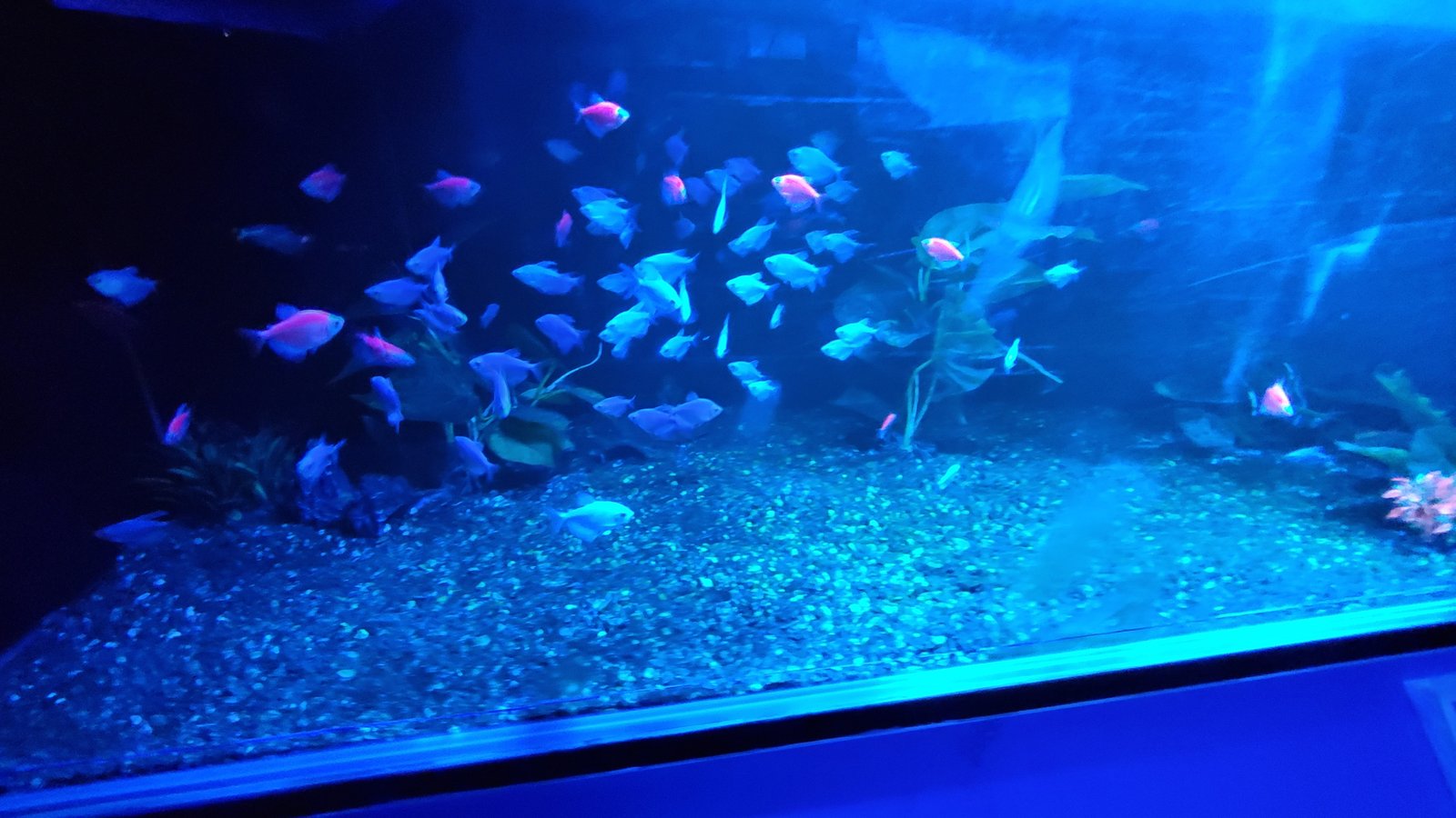 基隆 潮境智能海洋館：遊玩用餐一條龍/ 無敵海景/ 互動遊戲