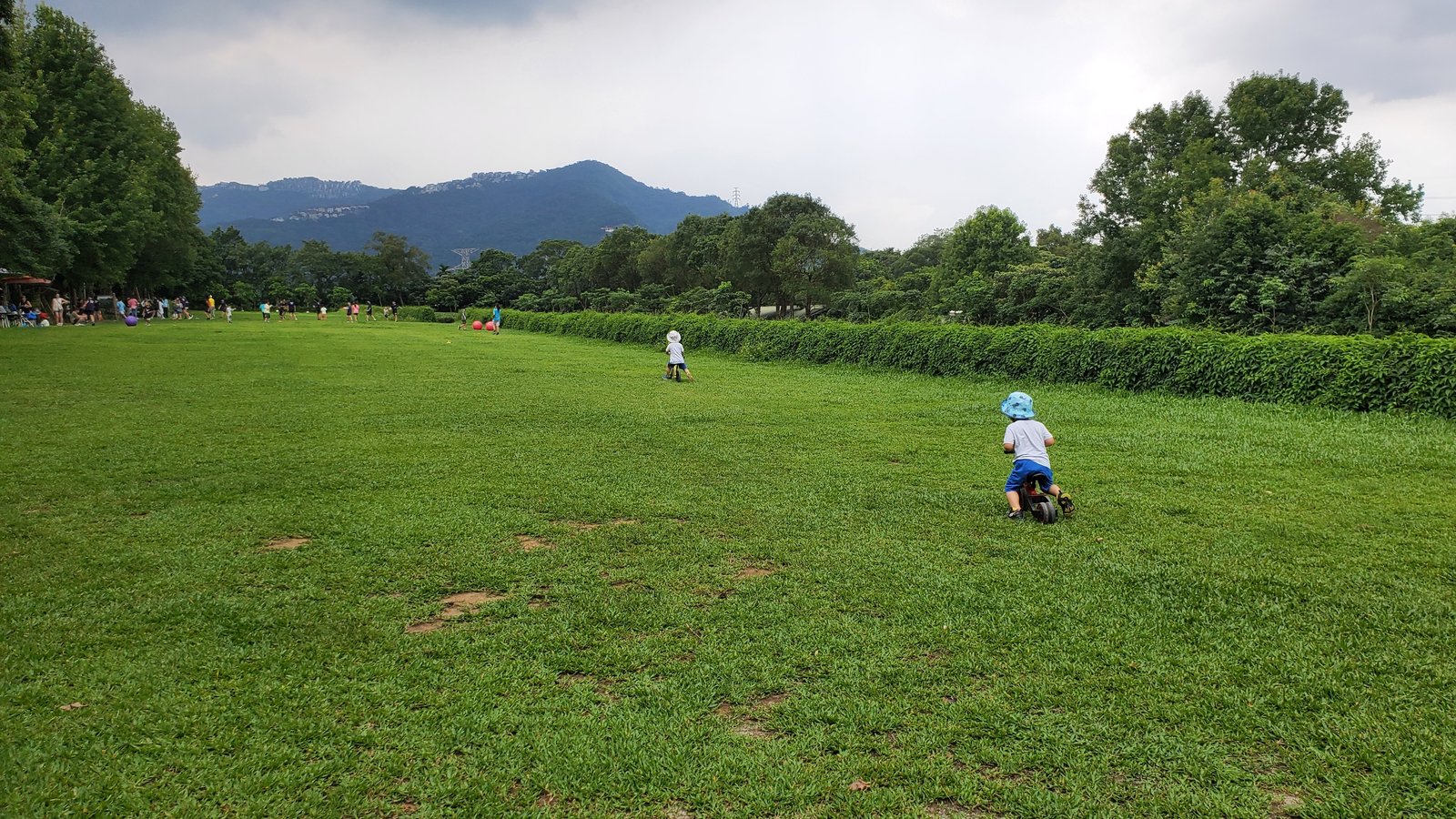 新北 文山農場：歷史悠久茶葉指導所/ 腹地大環境優美/ 文山