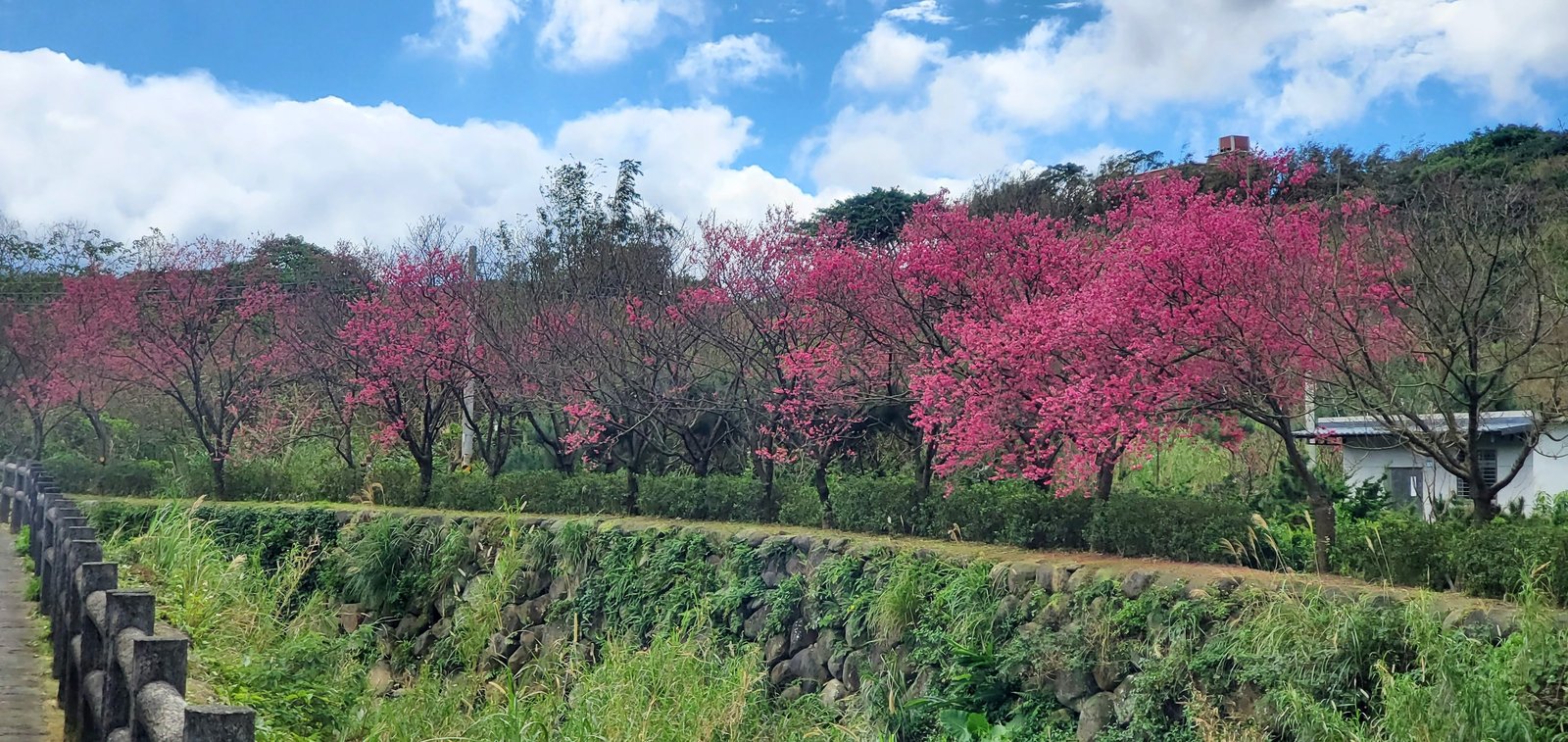 台北近郊13個推娃娃車就Go的步道：美景不需跋山涉水/ 和b