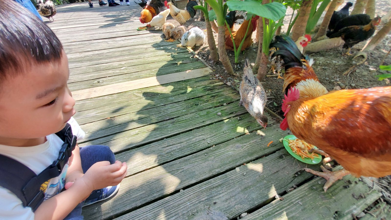 北台灣21個帶小小孩值得一遊的樂園公園動物園（農場）：帶著雙