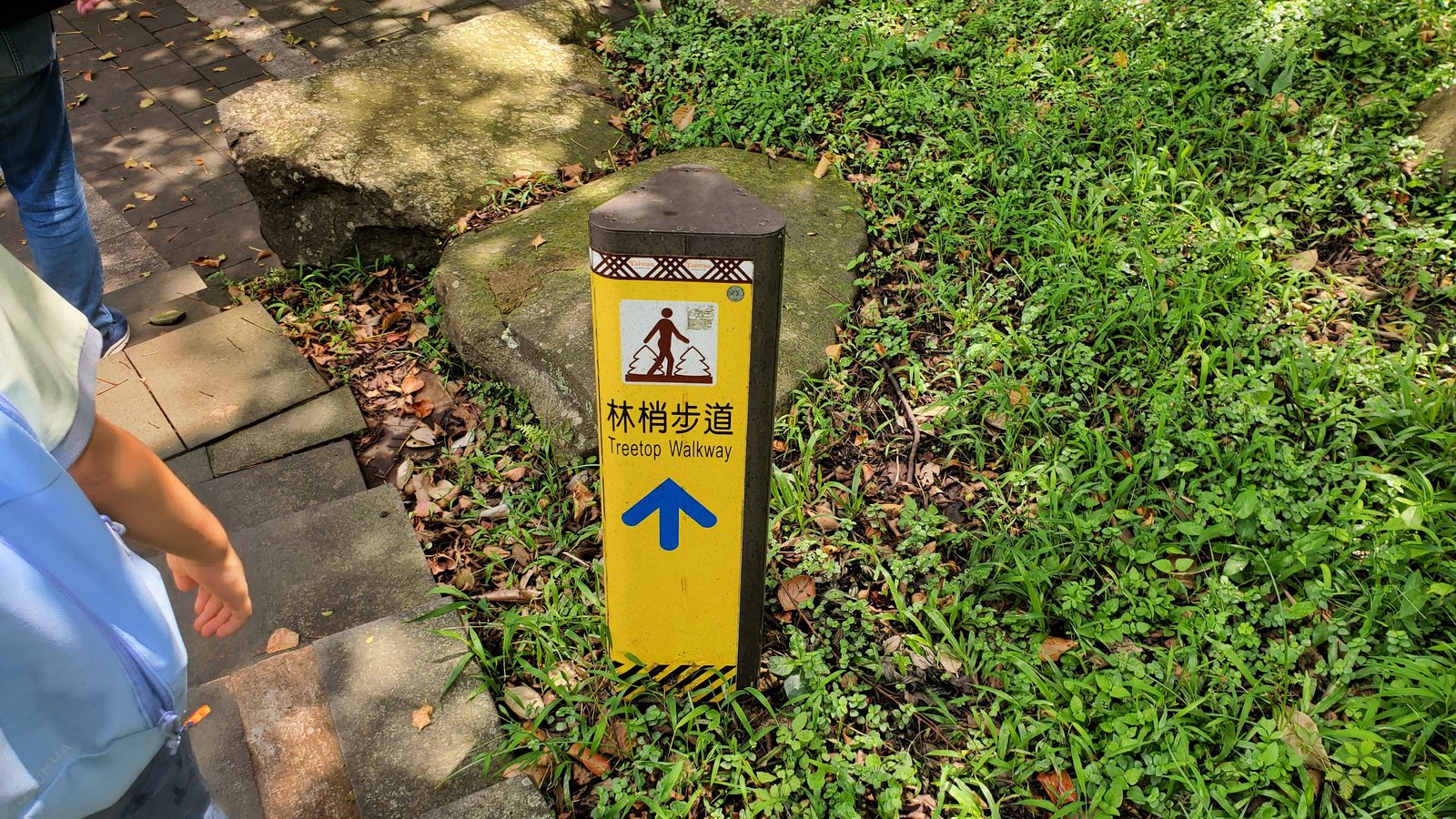 新北五股 林梢步道：健行幼幼班/ 90%無障礙步道/ 遊客中