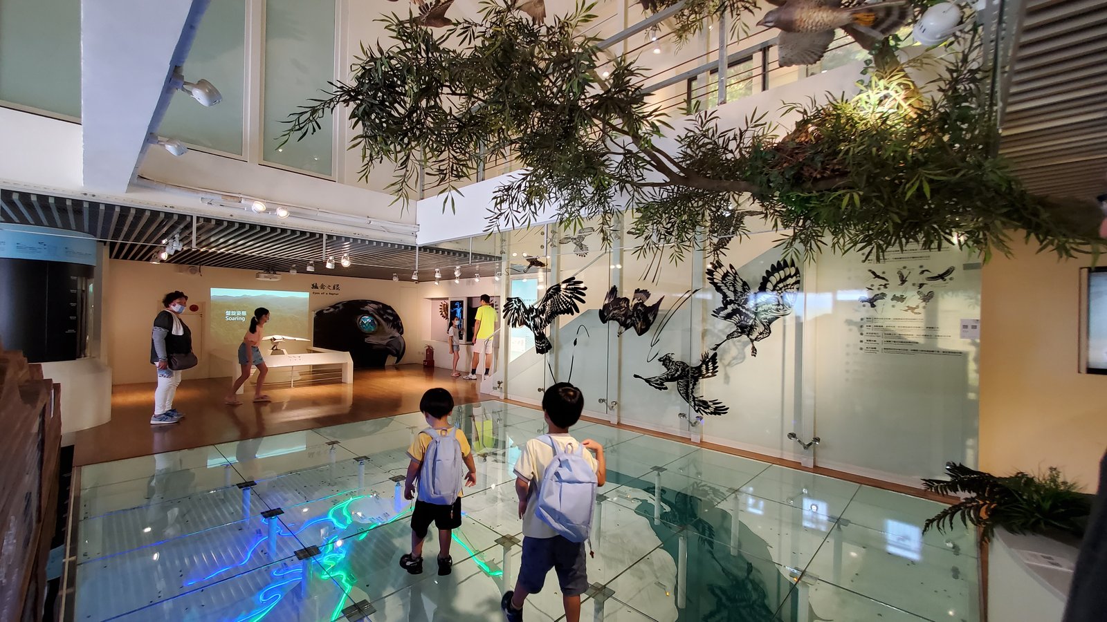 新北五股 林梢步道：健行幼幼班/ 90%無障礙步道/ 遊客中
