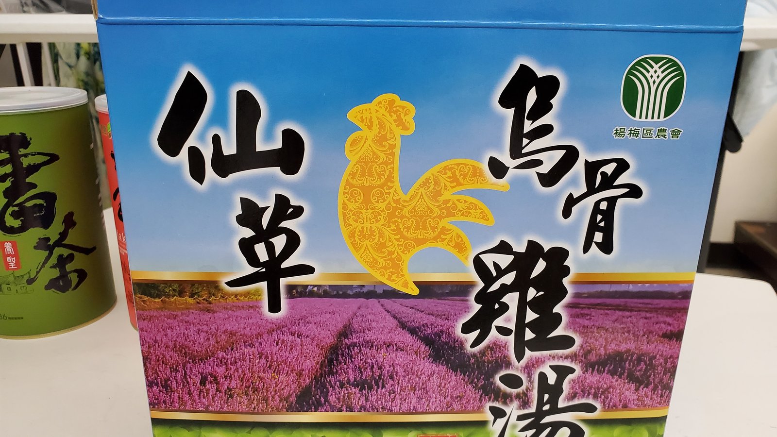 桃園青埔 2023客家博覽會 與地景藝術節：青埔展區/ 親子