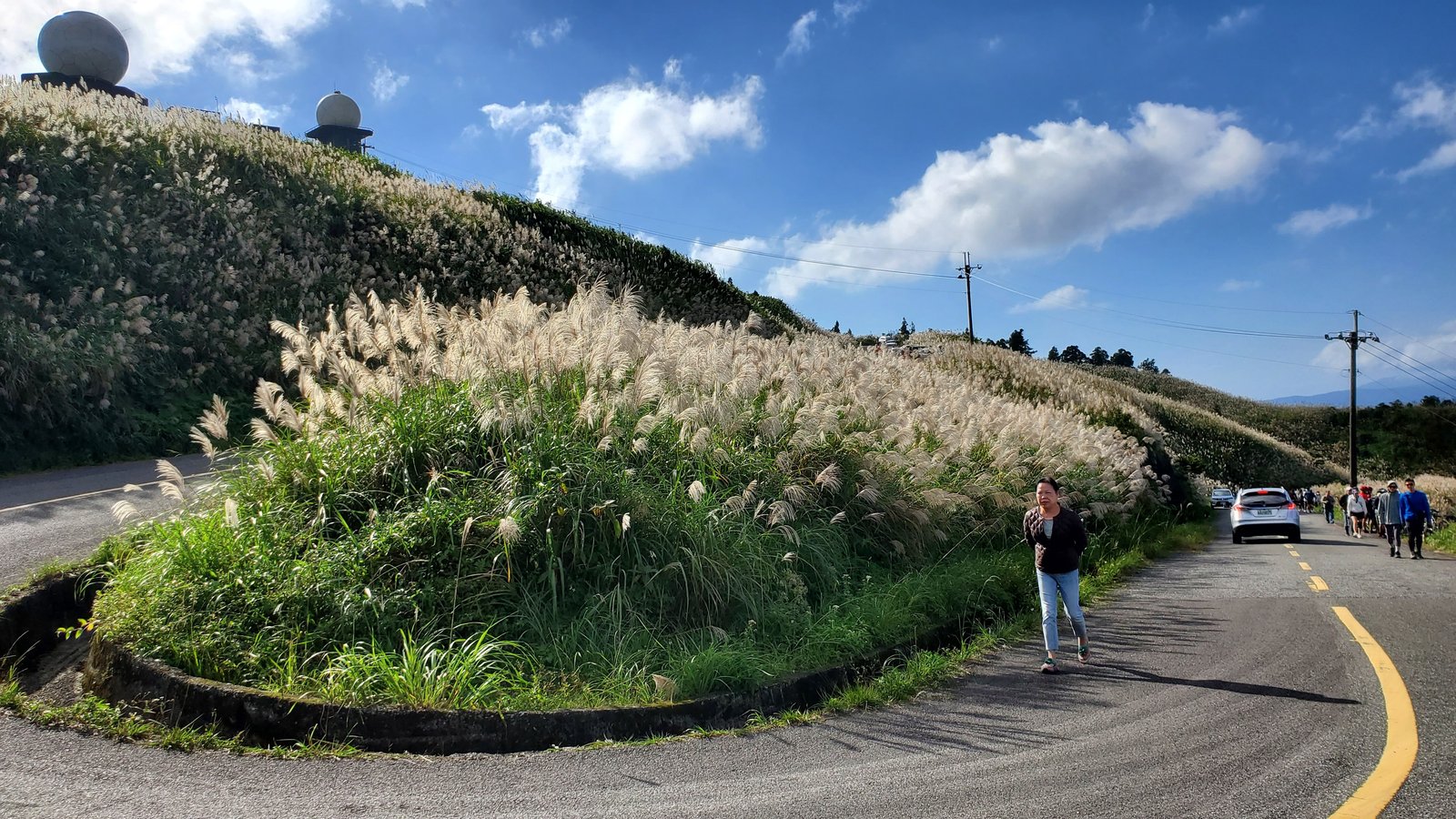 新北平溪 五分山步道：賞芒花/ 親子健行步道/ 100分的美
