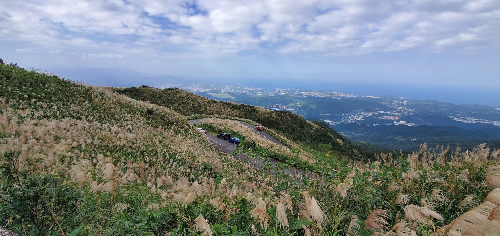 新北平溪 五分山步道：賞芒花/ 親子健行步道/ 100分的美