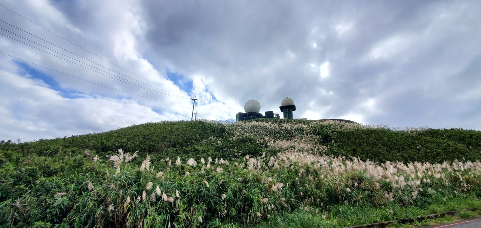 新北平溪 五分山步道：賞芒花/ 親子健行步道/ 100分的美