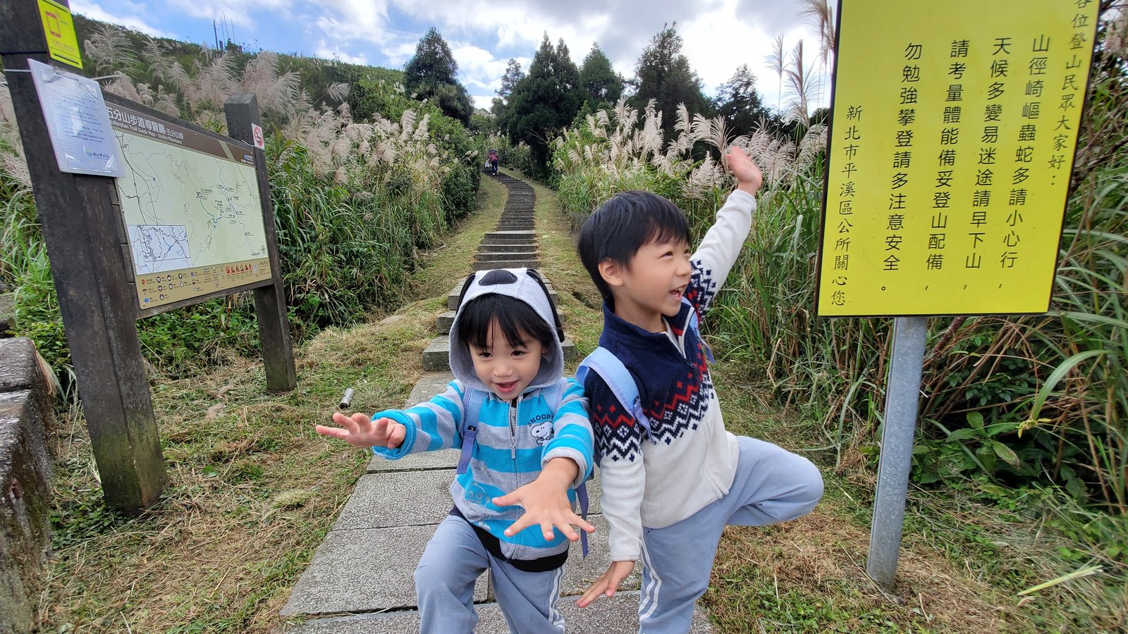 新北平溪 五分山步道：賞芒花/ 親子健行步道/ 100分的美