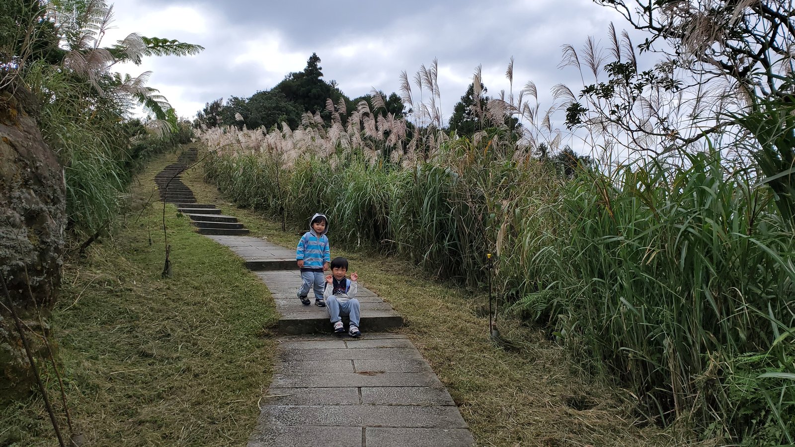 新北平溪 五分山步道：賞芒花/ 親子健行步道/ 100分的美
