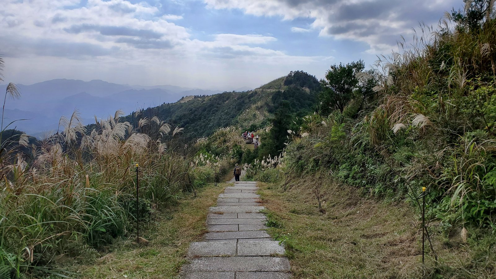 新北平溪 五分山步道：賞芒花/ 親子健行步道/ 100分的美