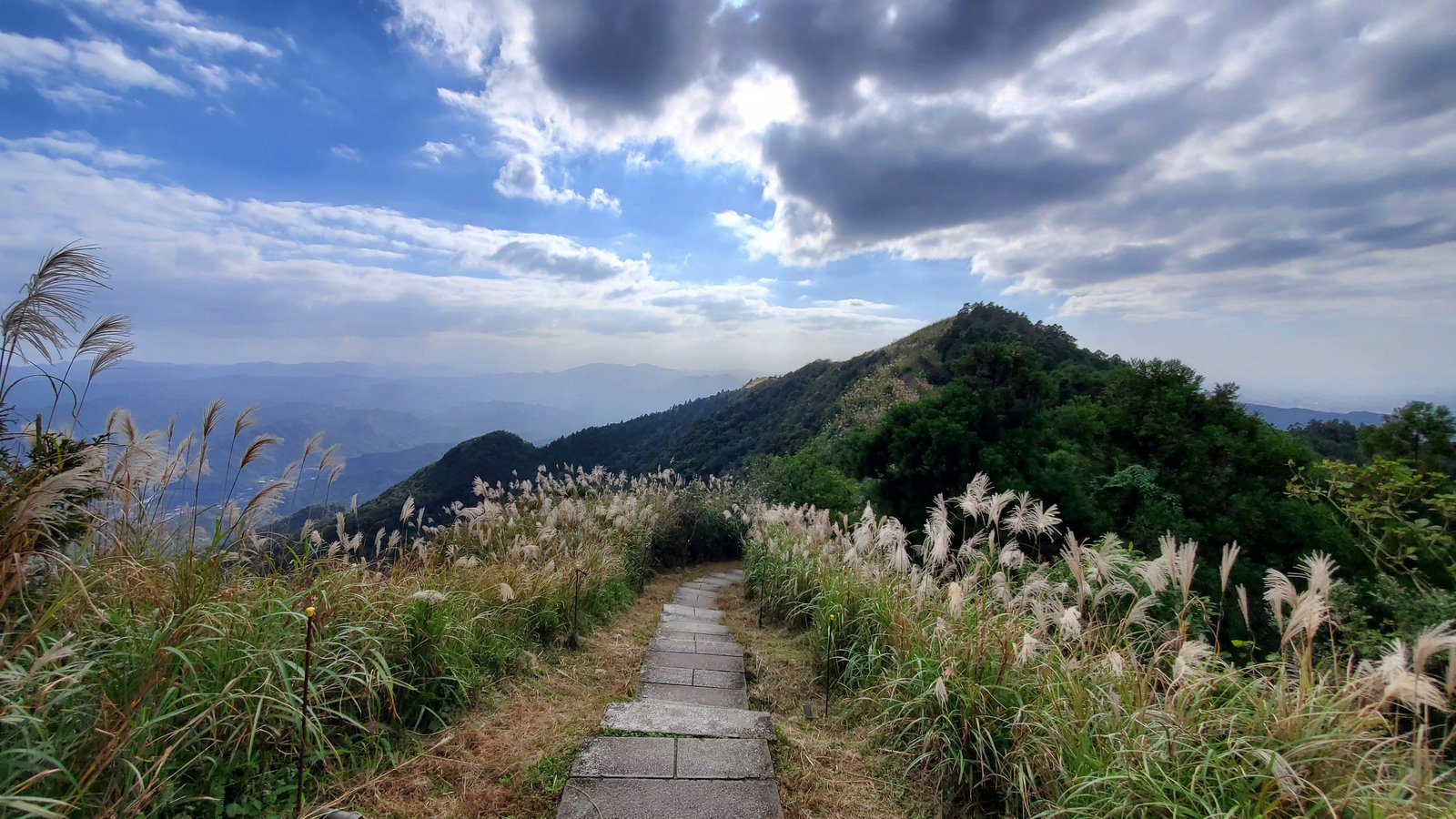 新北平溪 五分山步道：賞芒花/ 親子健行步道/ 100分的美