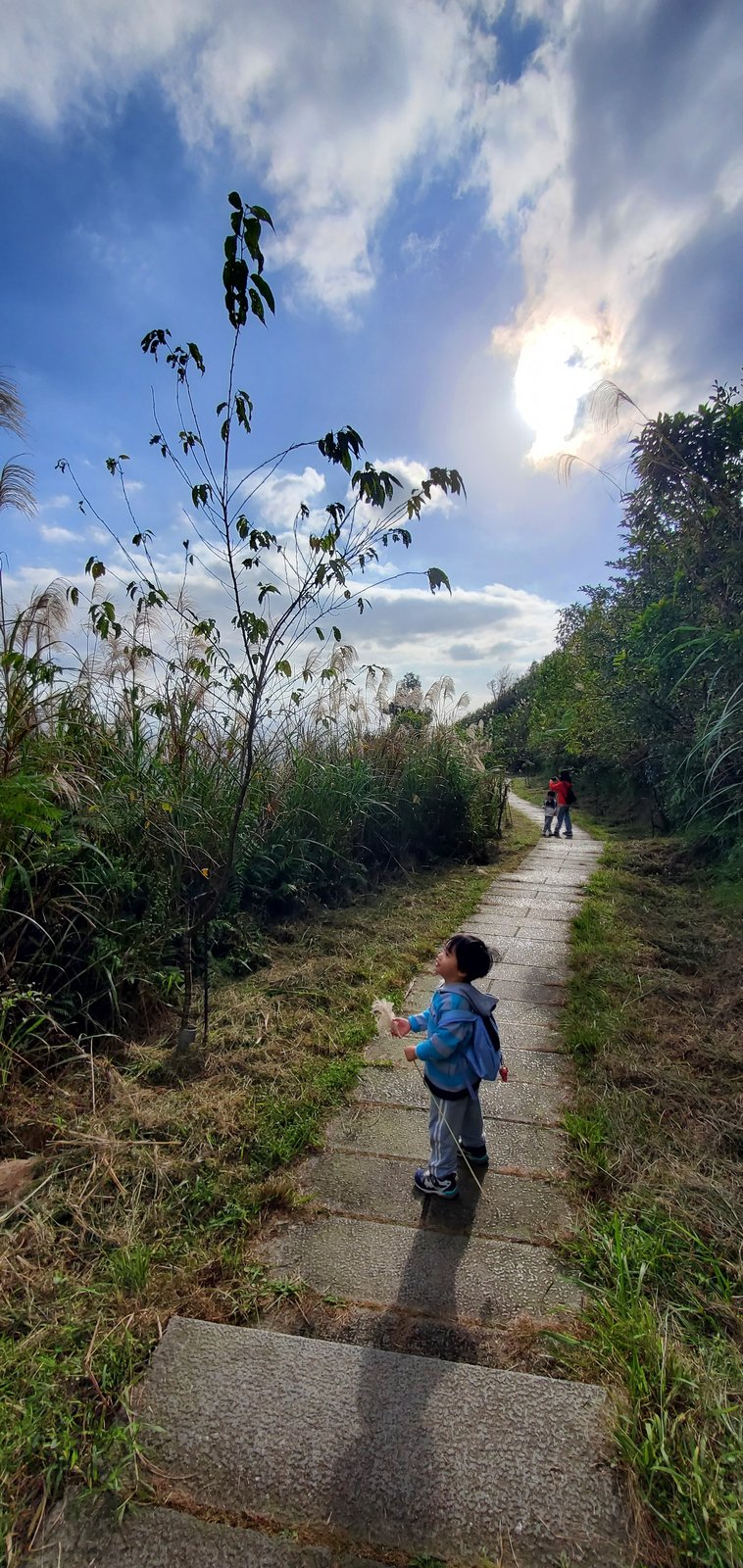 新北平溪 五分山步道：賞芒花/ 親子健行步道/ 100分的美