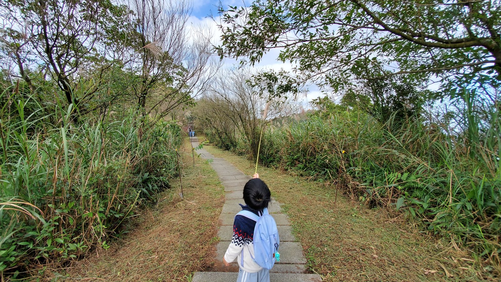 新北平溪 五分山步道：賞芒花/ 親子健行步道/ 100分的美
