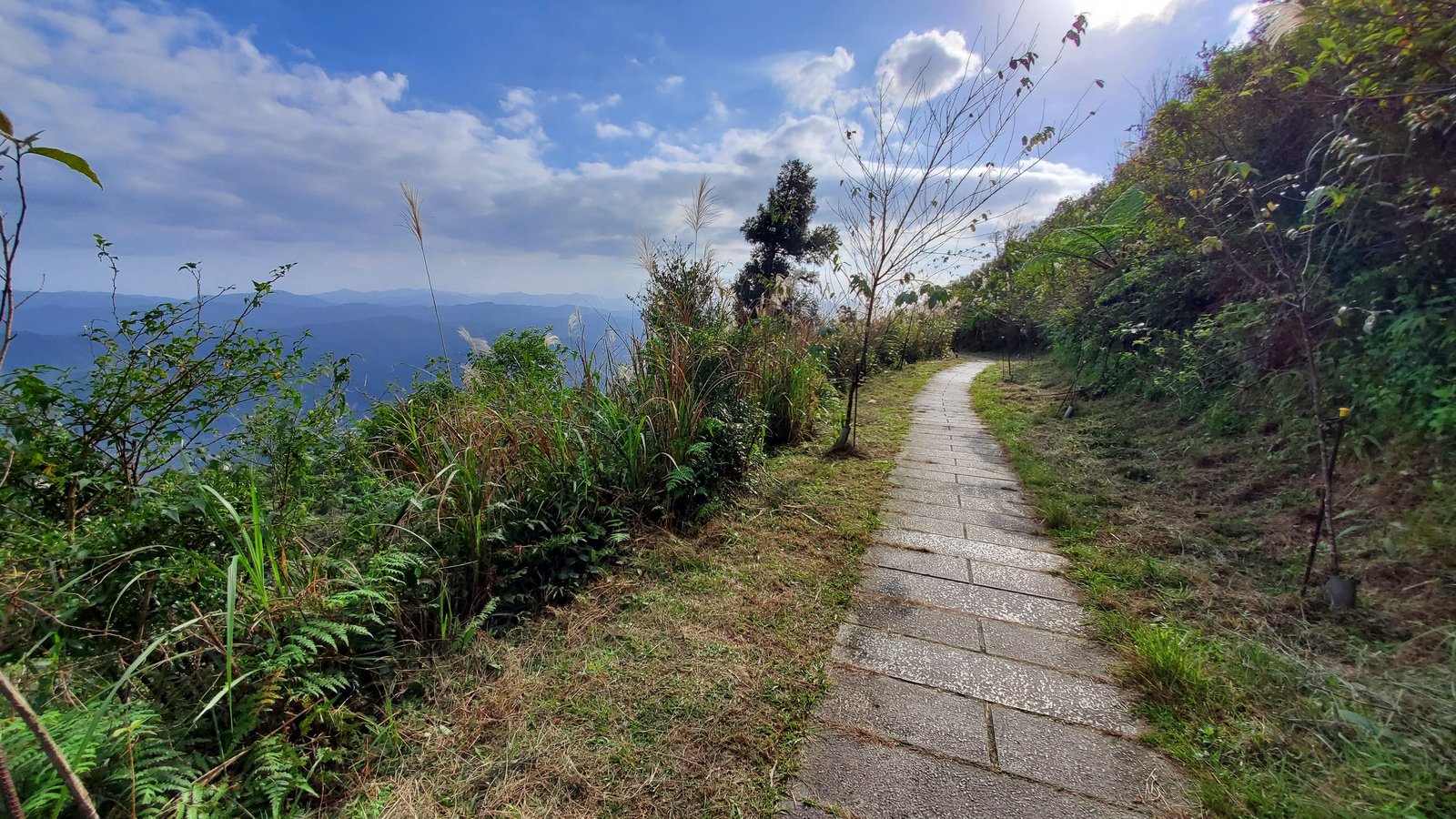 新北平溪 五分山步道：賞芒花/ 親子健行步道/ 100分的美