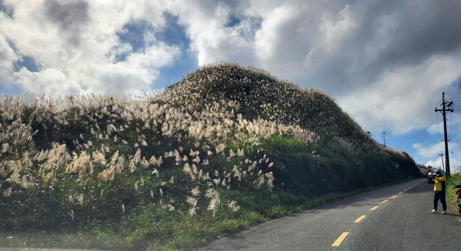 新北平溪 五分山步道：賞芒花/ 親子健行步道/ 100分的美