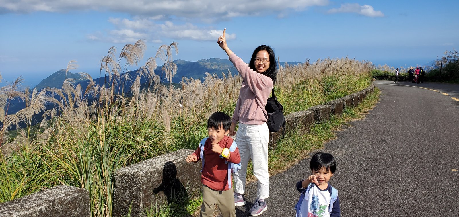新北平溪 五分山步道：賞芒花/ 親子健行步道/ 100分的美