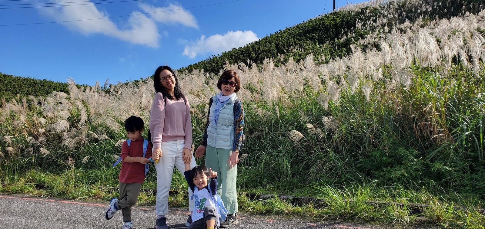 新北平溪 五分山步道：賞芒花/ 親子健行步道/ 100分的美