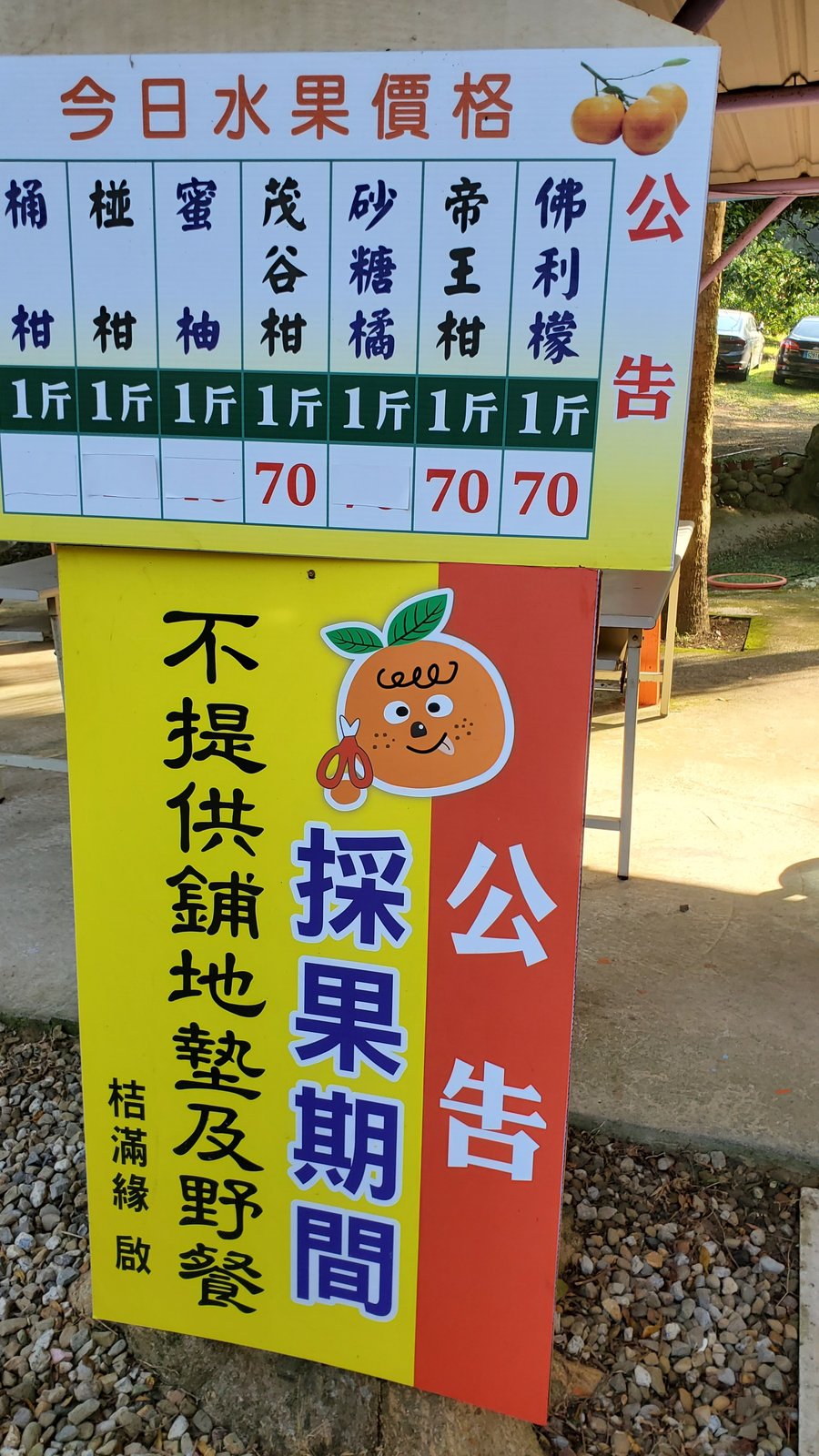 新竹 桔滿緣寶山農場：親子採橘去/ 邊吃邊採果/ 超大的果園