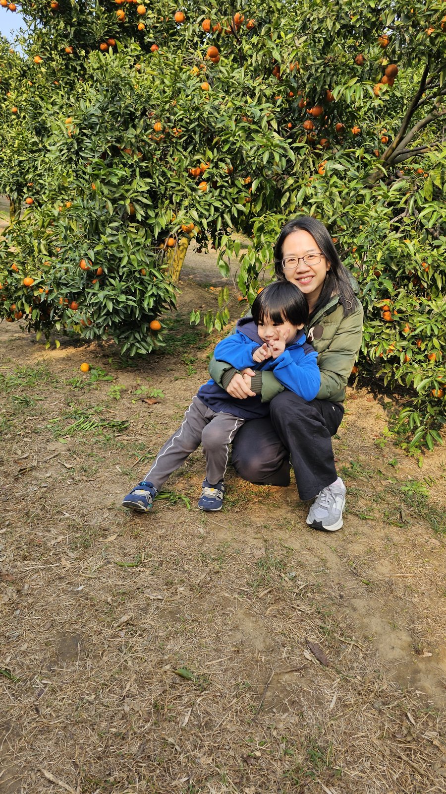 新竹 桔滿緣寶山農場：親子採橘去/ 邊吃邊採果/ 超大的果園