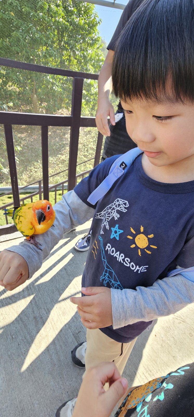 台中彰化南投海線：帶著雙寶去旅行/ 99峰動物樂園/ 溪湖糖