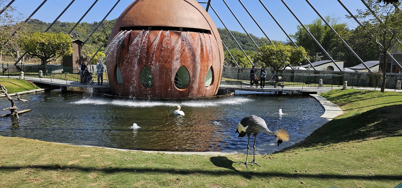 南投霧峰 九九峰動物樂園：名副其實的動物樂園/ 近距離觀賞鳥