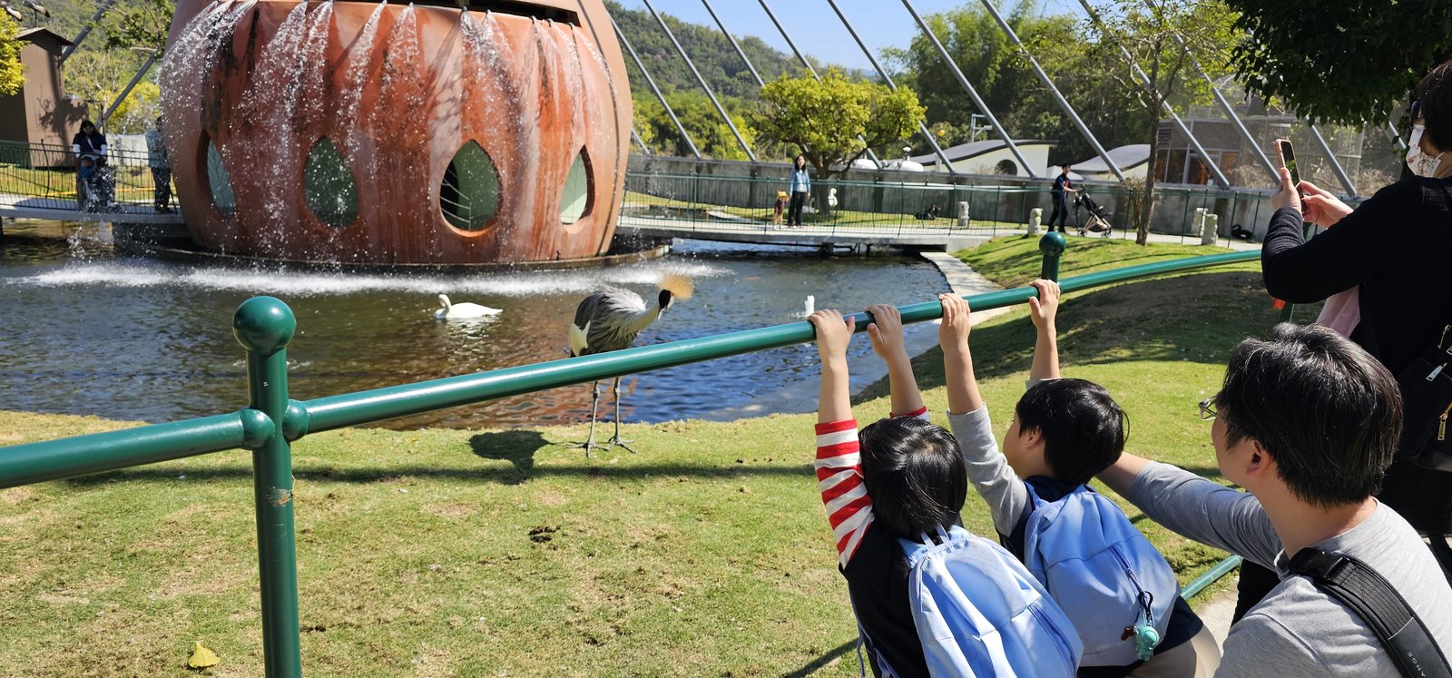南投霧峰 九九峰動物樂園：名副其實的動物樂園/ 近距離觀賞鳥
