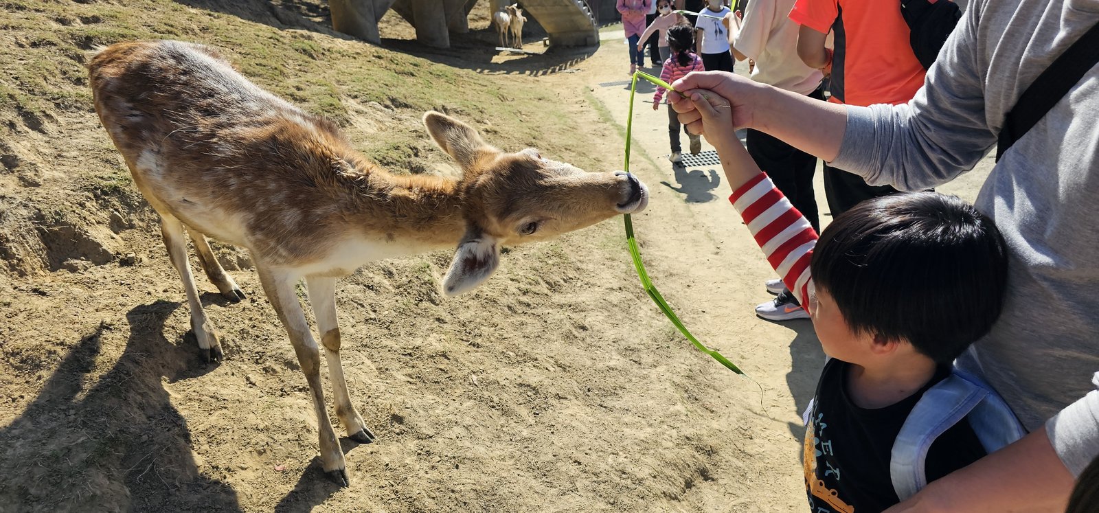 南投霧峰 九九峰動物樂園：名副其實的動物樂園/ 近距離觀賞鳥