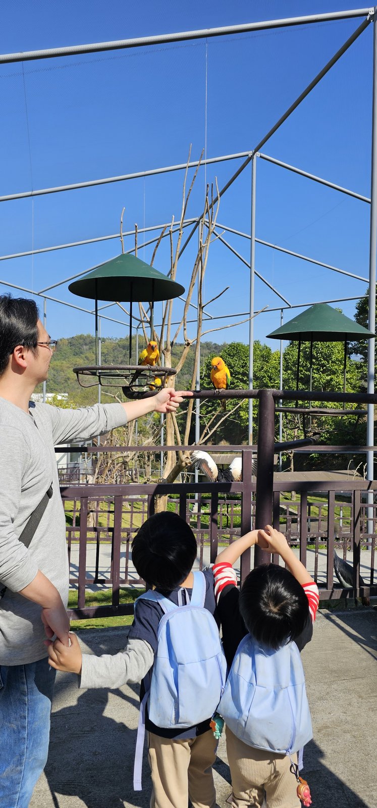 南投霧峰 九九峰動物樂園：名副其實的動物樂園/ 近距離觀賞鳥